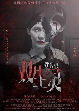 《双生灵》：迷雾重重的心理惊悚，谁是真实的你？