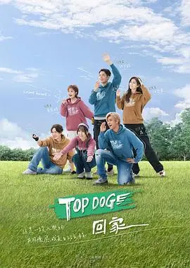 《TOP DOG》影评：不止是萌宠冒险，更是关于勇气与忠诚的感动史诗！