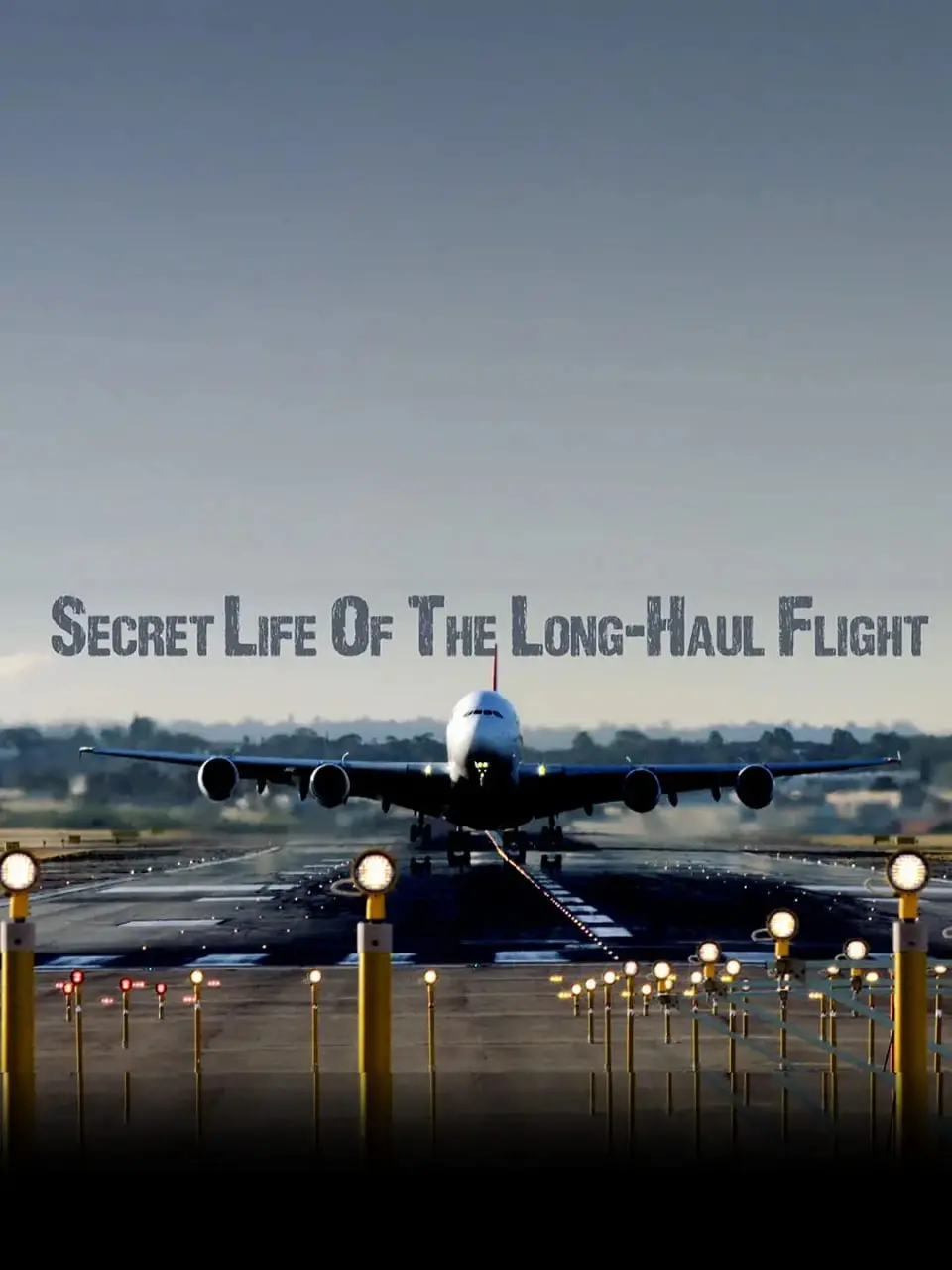 《长途航班的秘密生活》：一场跨越云端的感人故事，触及存在主义的深刻共鸣