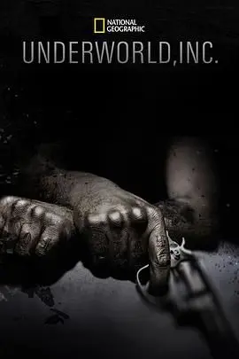 《黑市大企业第一季》：暗流涌动的权力游戏，揭秘地下世界的生存法则与人性挣扎！